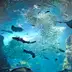 新江ノ島水族館