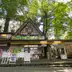 高尾山さる園・野草園